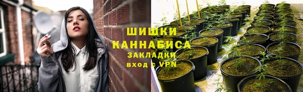 мдпв Горняк