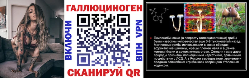 Псилоцибиновые грибы Psilocybine cubensis  OMG   Сим 